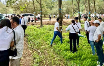 Vụ bán đất như bán rau ở Bình Phước: Công ty địa ốc Lucky Land bị mời làm việc
