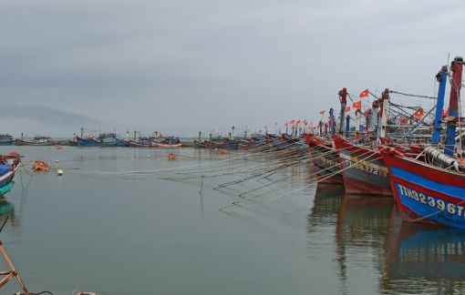 Đà Nẵng cấm đường từ 20g tối 27/9, nhiều khu neo đậu tàu thuyền miền Trung kín chỗ