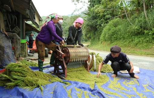 Đến Mù Căng Chải, thưởng thức đặc sản của đồng bào người Thái