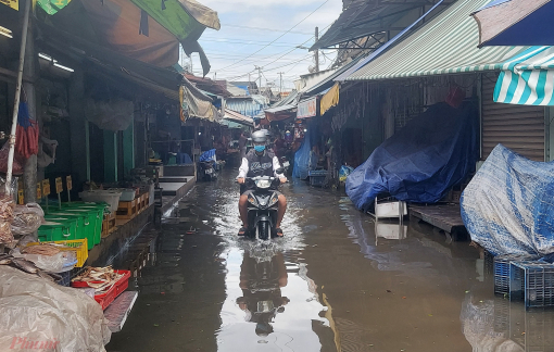 TPHCM sẽ có mưa lớn và triều cường trong hôm nay (27/9)