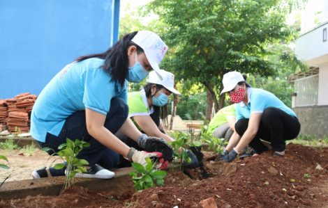 Mọi người đang “xây”, sao mình lại “phá”?