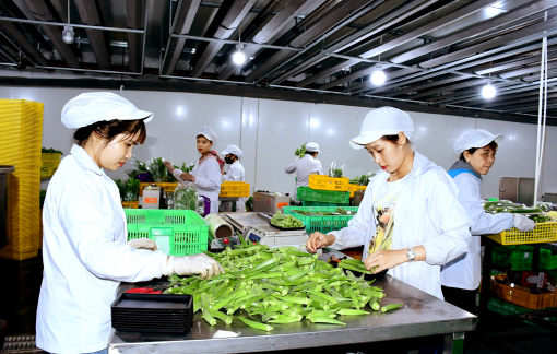 Ngân hàng tăng lãi suất, doanh nghiệp thêm khó khăn