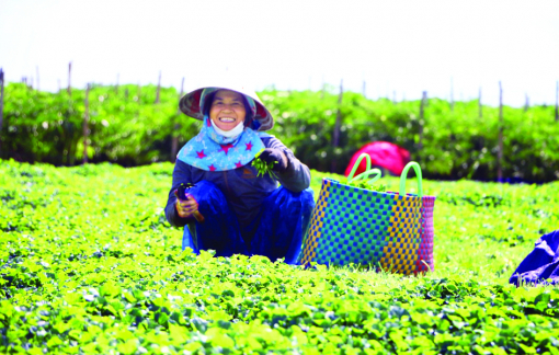 Sống khỏe ở vùng rốn lũ xứ Huế