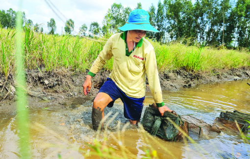 Miền Tây thời thiếu lũ