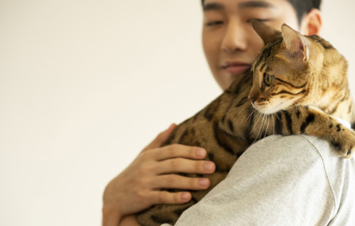 Bạn trai tôi thương mèo còn hơn cả người yêu