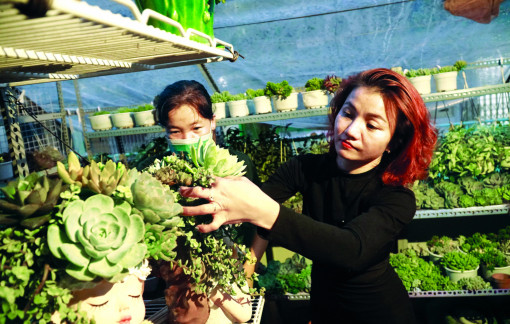 Phía sau những phụ nữ khởi nghiệp thành công