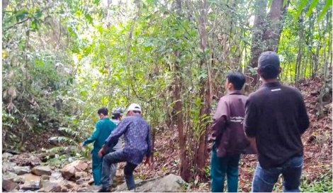 50 người tìm kiếm người phụ nữ đi lạc trong rừng Tà Cú