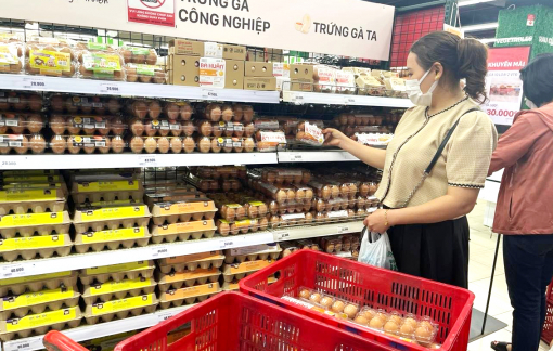 Phụ nữ thúc đẩy tiêu dùng bền vững