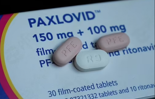 Thuốc trị COVID-19 của Pfizer có thể gây huyết khối chết người