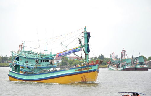 Cà Mau tập trung triển khai nhiệm vụ chống khai thác IUU