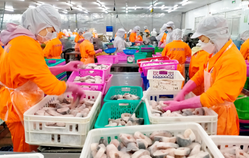 Thủy sản ở đồng bằng sông Cửu Long được giá