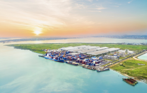 Cảng Chu Lai phát triển mạnh dịch vụ xuất nhập khẩu hàng rời