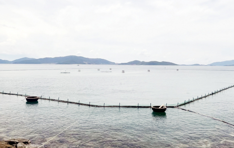 Xử lý giàn phao nổi chiếm dụng mặt biển ở vịnh Nha Trang