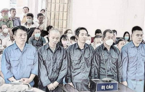 Xét xử vụ án hủy hoại rừng phòng hộ núi Thị Vải: Làm rõ trách nhiệm Chủ tịch phường Tân Phước
