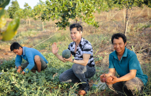 Sự thật vụ ca sĩ Ngọc Sơn sai phạm khi sử dụng 50ha đất tại Bình Thuận