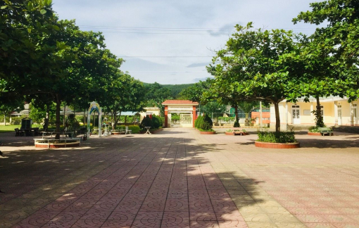 Hiệu trưởng bị bắt quỳ xin lỗi: Trường không đạt chỉ tiêu thu bảo hiểm, không được xét thi đua