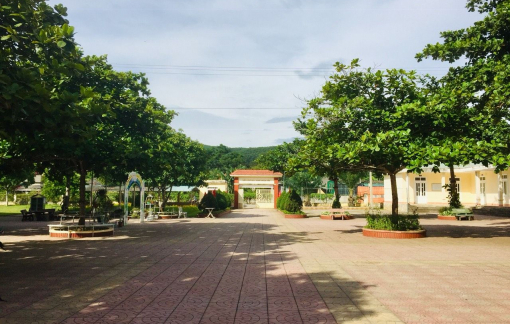 Khởi tố người bắt hiệu trưởng quỳ xin lỗi