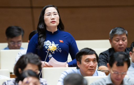 Đại biểu quốc hội: Nhà xây trong ngõ thanh tra vẫn biết, cao ốc vi phạm không phát hiện kịp thời