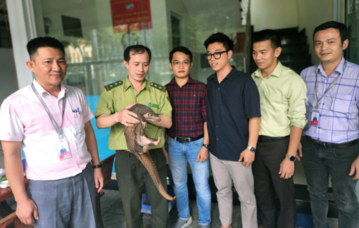 Vì sao thú rừng quý hiếm thường xuyên “lạc” vào nhà dân ở phố?