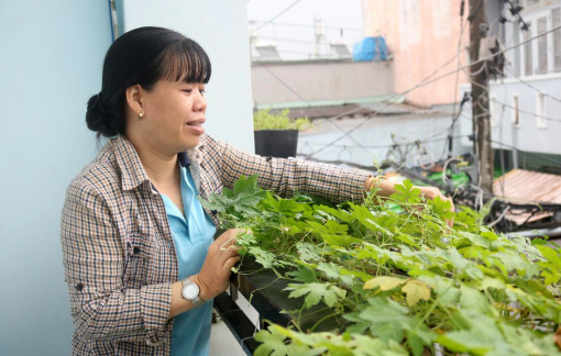 Giúp chị em trở thành người nội trợ thông minh