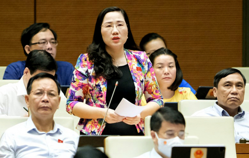 Đừng để đấu thầu thành mảnh đất màu mỡ của tham nhũng