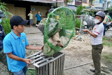 Theo chân đội bắt chó thả rông ở TPHCM