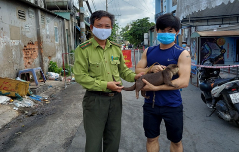 Hàng trăm hổ mang chúa, khỉ mặt đỏ, rái cá... từ TPHCM đã được về rừng