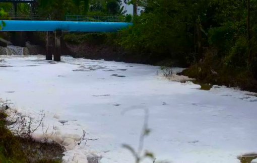 Bà Rịa - Vũng Tàu chỉ đạo khẩn trương điều tra hiện tượng bọt nổi trắng sông Dinh