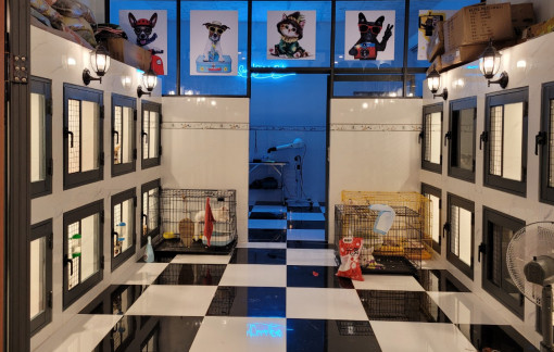 Phí giữ thú cưng ngày tết tăng