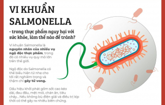 Infographic: Thực phẩm nào nguy cơ nhiễm khuẩn Salmonella có thể gây tử vong?