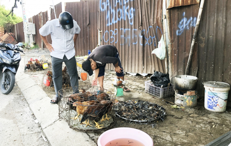 Kinh doanh, giết mổ gia cầm trái phép tràn lan trên lề đường