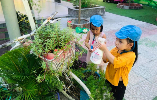 Trường học tại TPHCM thí điểm biến rác hữu cơ thành phân xanh cho cây trồng