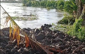 Sạt lở nghiêm trọng ở Vĩnh Long, thiệt hại khoảng 7 tỷ đồng