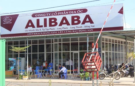 Ngày mai (8/12), xét xử vụ lừa đảo tại Công ty địa ốc Alibaba với gần 4.000 bị hại