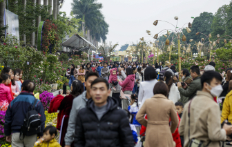 Du khách nườm nượp về lễ hội hoa Mê Linh 2022
