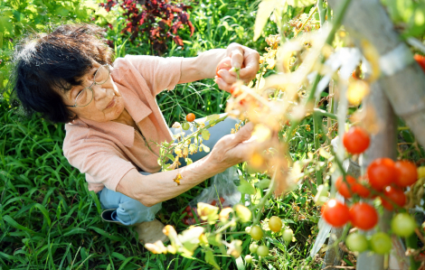 Ba má chẳng có gì giống nhau ngoài lòng tốt