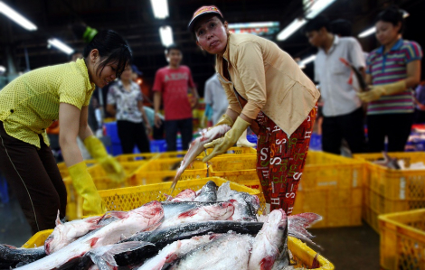 Lượng hàng hóa vào chợ Bình Điền tăng hơn 35% trong những ngày cận tết