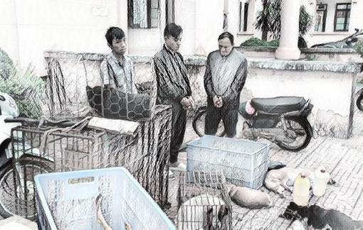 Mới ra tù, "cẩu tặc" lại cùng đồng bọn trộm 3 tấn chó