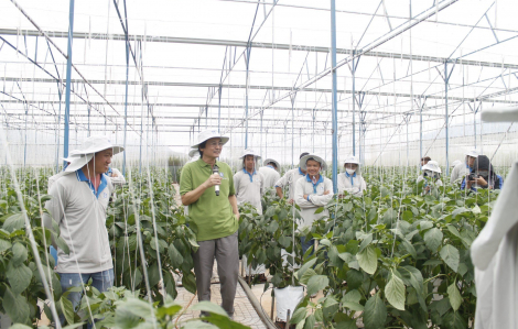 Yara Việt Nam chuyển đổi toàn diện, hưởng ứng mạnh mẽ mục tiêu phát triển bền vững nông nghiệp Việt