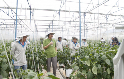 Yara Việt Nam chuyển đổi toàn diện, hưởng ứng mạnh mẽ mục tiêu phát triển bền vững nông nghiệp Việt