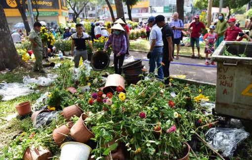 Chuyện những chậu hoa bị đập bỏ