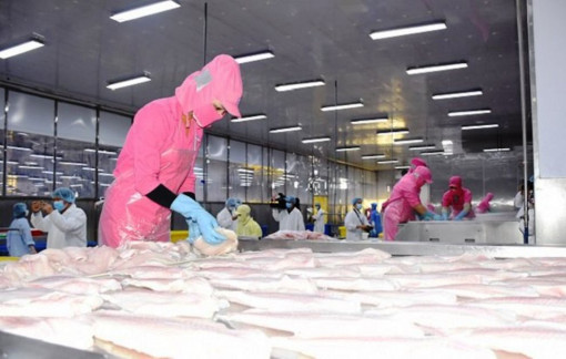 Khai mạc lễ hội Cá tra Việt Nam lần 1 năm 2022