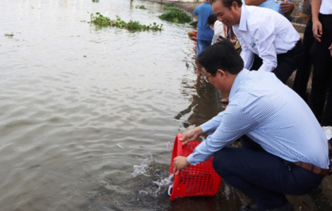 Thả 3,5 tấn cá giống xuống sông Sở Thượng ở Đồng Tháp