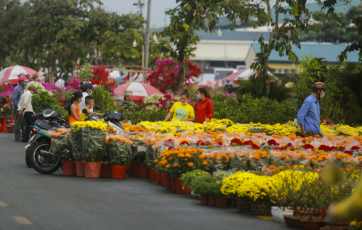 Khởi động Chợ hoa xuân Bình Điền 2023
