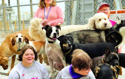 Những chú chó truyền cảm hứng sống cho người khuyết tật