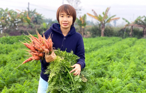 Thuê đất hoang để “cày” ra tiền tỉ