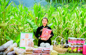 Những bạn trẻ mang giấc mơ nông sản Việt