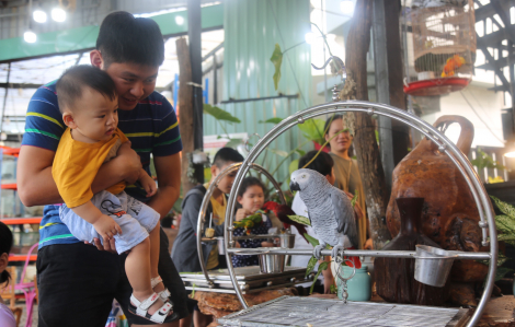 Tết Dương lịch 2023 ở TPHCM: Hàng quán, siêu thị... đông đúc, chợ vắng hoe