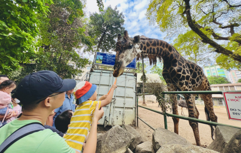 TPHCM đón 1,6 triệu lượt khách trong 3 ngày nghỉ tết Dương lịch