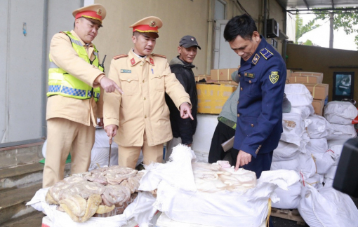 Tiêu hủy gần 1 tấn nội tạng đã bốc mùi hôi thối đang được đưa vào TPHCM tiêu thụ